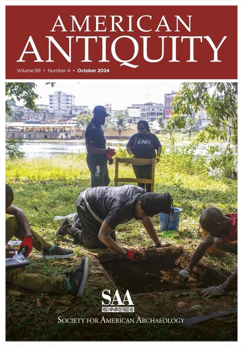 The Archaeology of Providence Island: Liberian Heritage beyond Settlement cover or poster